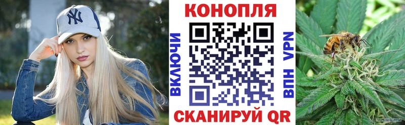 Канабис конопля  Чекалин 